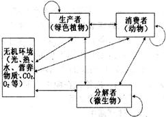 冰箱、冷柜配件与杉木力学性能的关系研究