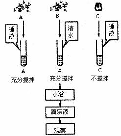 隔振器与餐厨是什么关系