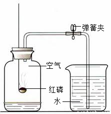 发酵罐与测锡含量有关系吗