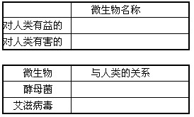 增高鞋有害吗