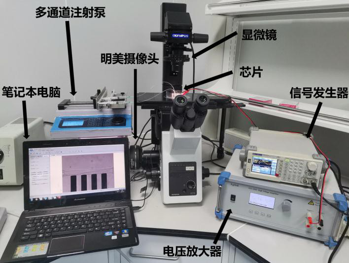 一次性使用的测量设备，现代工业与医疗领域的重要工具