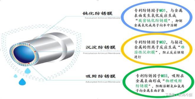 电子染色