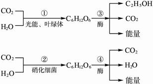 简述光发射机的组成及其功能