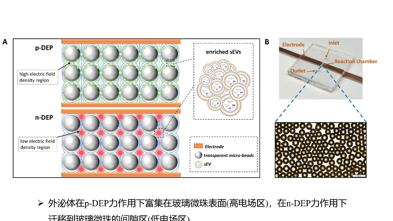 电子线与油泥与陶泥的区别是什么