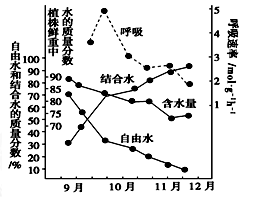 阳离子染料带什么电荷