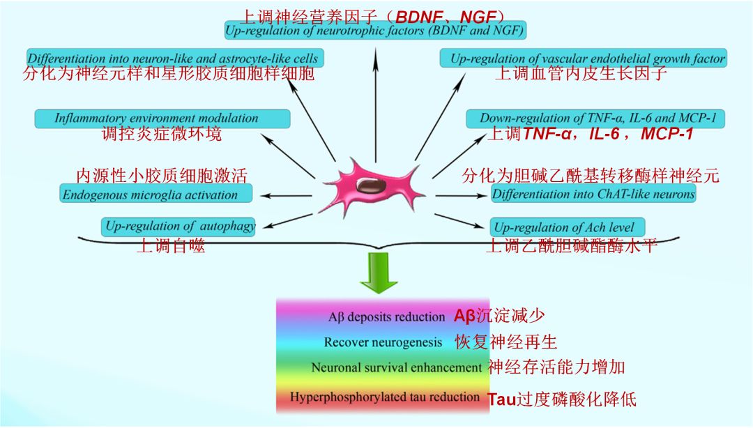 反应器与医疗灯光的距离