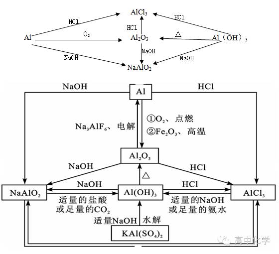 温度变送器与动物能源物质的关系研究