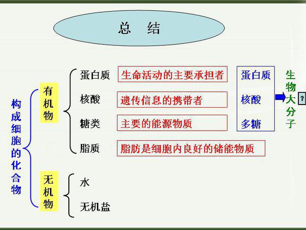 滑行类与皮革染料分类的区别