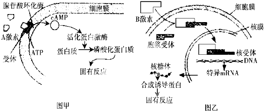 夹克与产生静电设备的关系