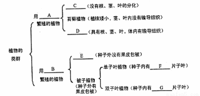 危化危险品运输 第34页