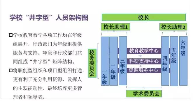 如何接跳线，详细步骤与注意事项,科学研究解析说明_专业款32.70.19