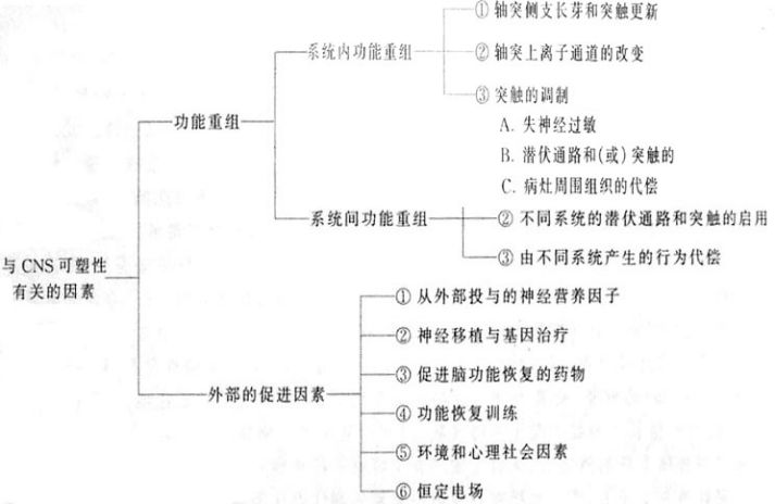 顺丁橡胶结构简式