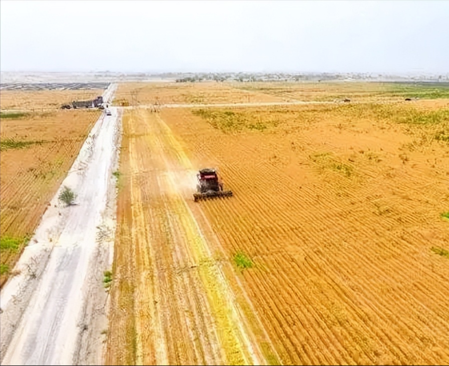 可种植混凝土，革新建筑材料的绿色革命,深入解析设计数据_T16.15.70