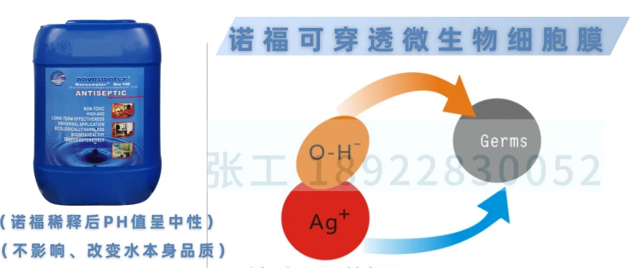 关于石膏矿与电磁炉上的纸是否需要撕掉以及是否有毒的问题解析,可靠操作策略方案_Max31.44.82