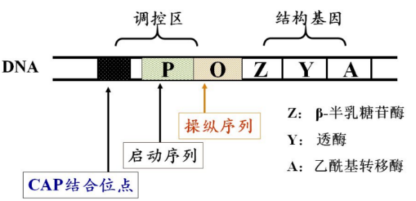 简述偶联剂的作用原理